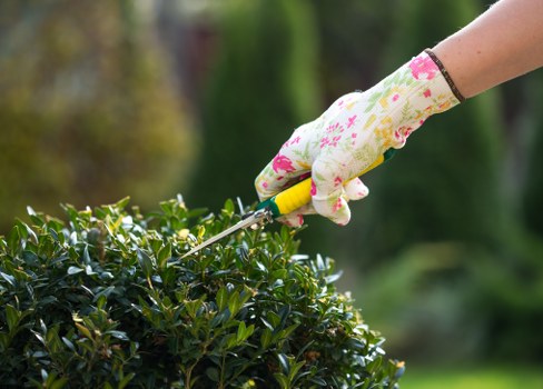 Deck maintenance and care tips