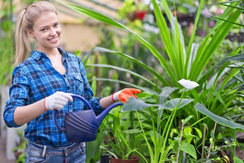 A young woman with blonde hair tied back, wearing a blue and black checked shirt and gardening gloves, is standing in a lush garden. She is holding a blue watering can and appears to be watering a variety of tall green plants, including broad-leaved foliage and a white flowering plant. The garden has a well-maintained appearance with grass, soil, and potted plants visible in the background, indicating an outdoor space in an urban or suburban setting, possibly within the postcode area associated with Holborn. The scene is set outdoors under natural daylight, with vibrant greenery suggesting a healthy, cared-for garden typical of services provided by Hedge Trimming Holborn. The environment shows a mix of cultivated flowers and established plants, with a focus on plant health and growth, reflecting professional gardening and outdoor maintenance practices in London. The overall mood is bright and serene, with the garden ready for ongoing landscaping or hedge trimming work.