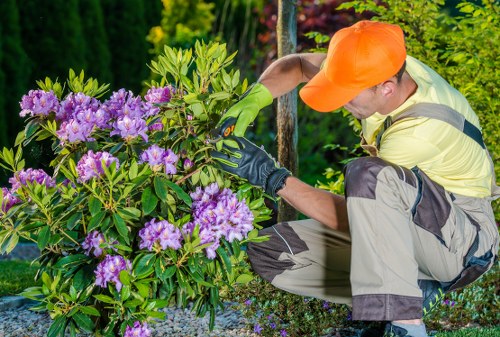 Gardener applying lawn care techniques