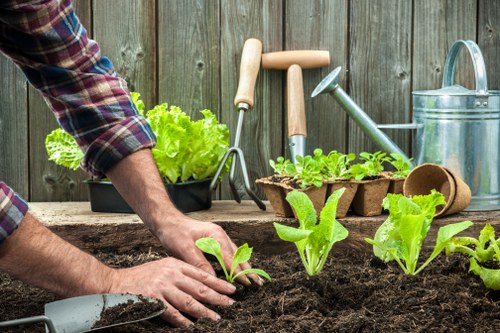 Garden clearance services removing debris and old plants