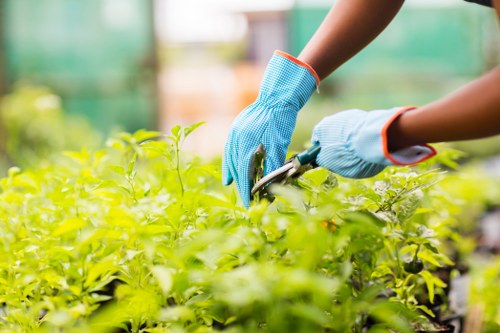 Workers trimming hedges in Holborn preparing waste for recycling