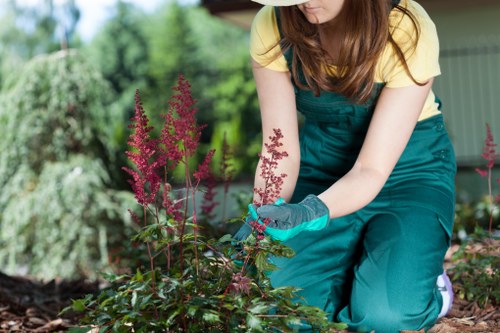 Well-maintained hedge trimmer and safety checks in progress