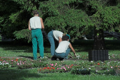 Professional gardener trimming a hedge