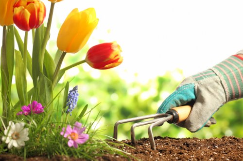 Gardening tools arranged in a Holborn garden