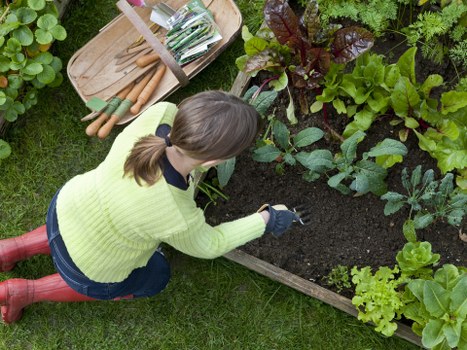Selection of native plants ideal for landscape gardening in Holborn