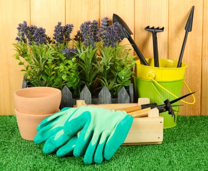 Clean and organized garden after professional clearance