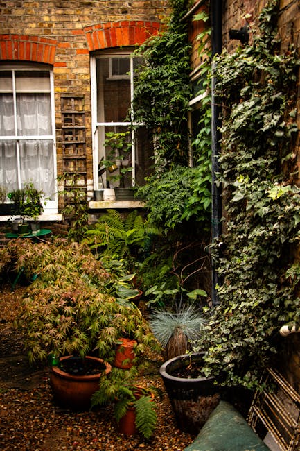 A small, densely planted garden courtyard enclosed by brick and wooden walls, featuring a variety of lush green foliage, including ferns, ivy, and potted plants. The backdrop shows a brick building wi