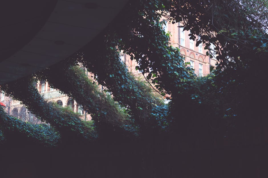 A shaded garden area beneath an overhanging structure, with dense green ivy and climbing plants covering parts of the perimeter. In the background, a multi-story brick building with arched windows is